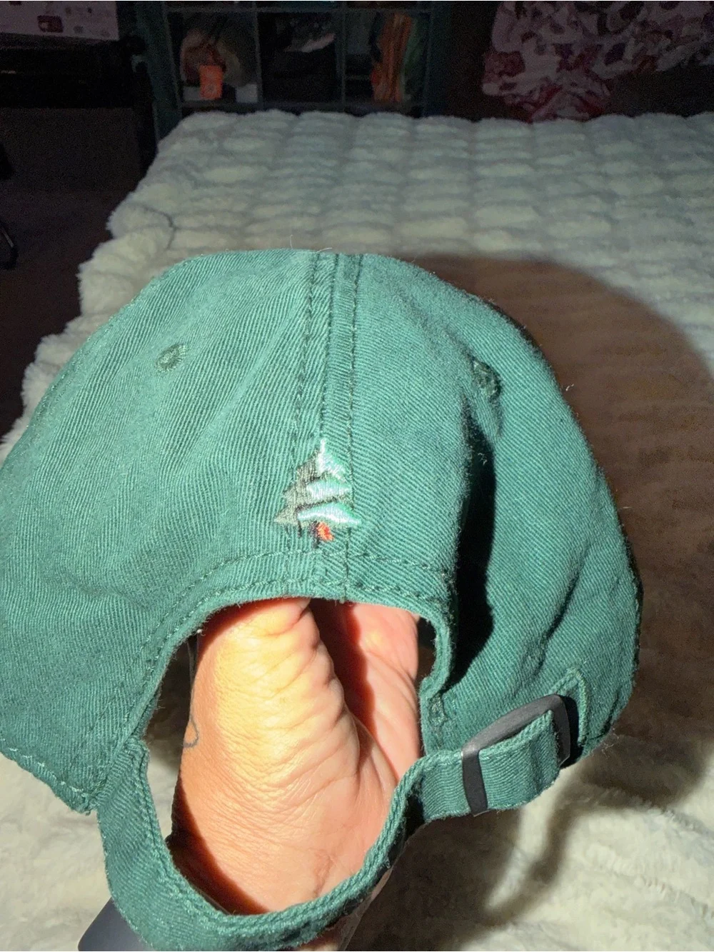 American Eagle Outfitters Dark Green Baseball Cap